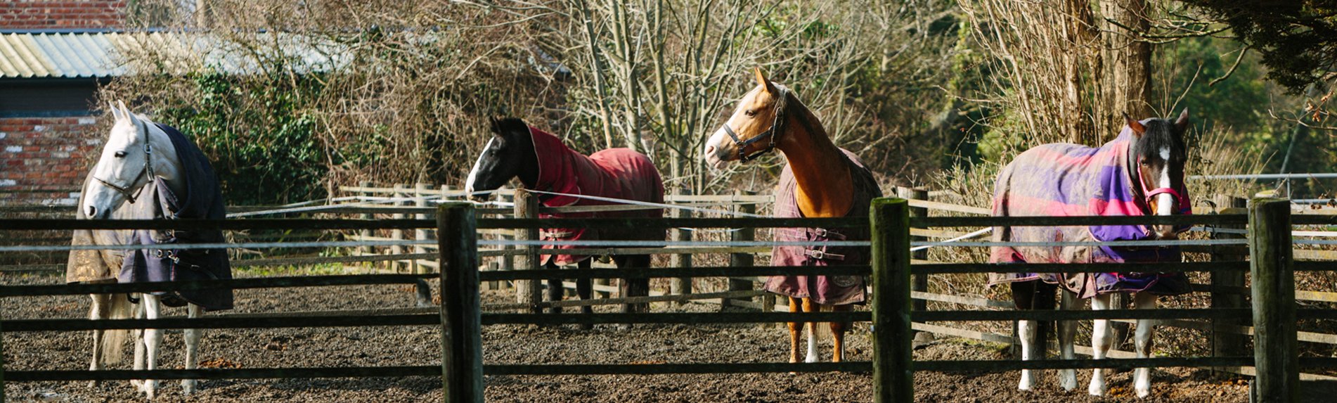 Larton Livery Horse Stables & Turnout